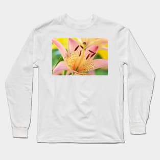 Lilium  &#39;Pink Pixie&#39;  Dwarf Asiatic lily Long Sleeve T-Shirt